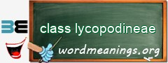 WordMeaning blackboard for class lycopodineae